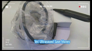 Sonda de ultrasonido veterinario Mindray 75L50EAV